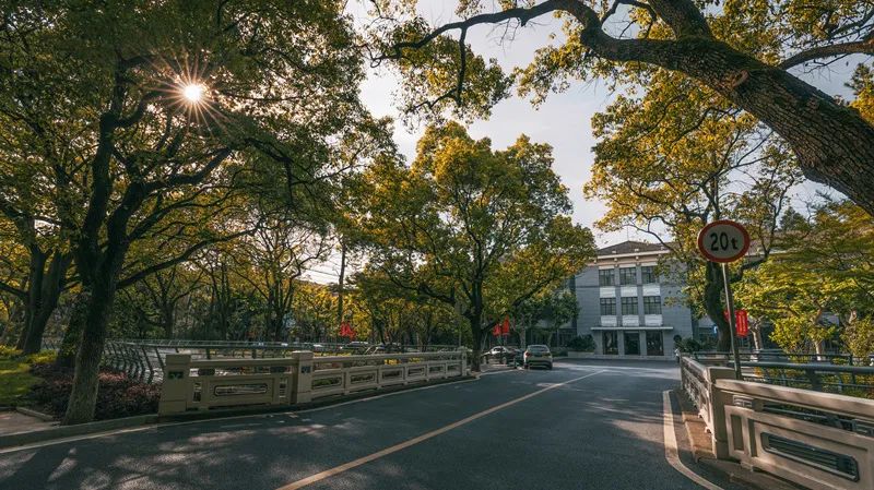 1653471215425087427.jpg 1653471215425087427.jpg