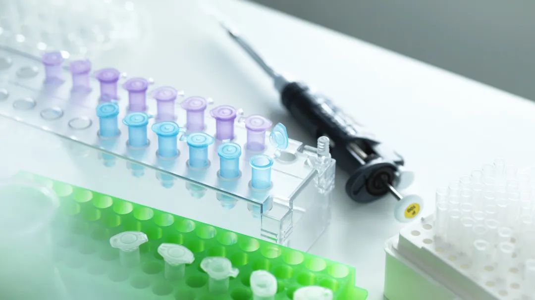 1659956218225097533.jpg 1659956218225097533.jpg